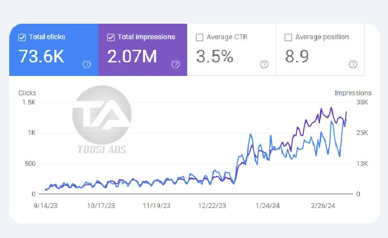 seo portfolio toosiads 1